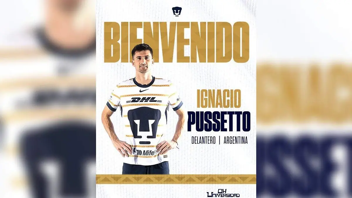 pussetto pumas
